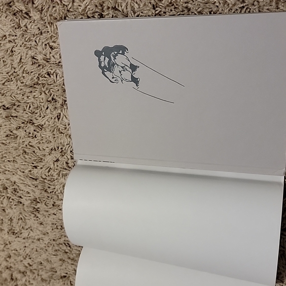 Hulk Gray Hardcover Book by Jeph Loeb and Tim Sale OUT OF PRINT - Picture 4 of 6